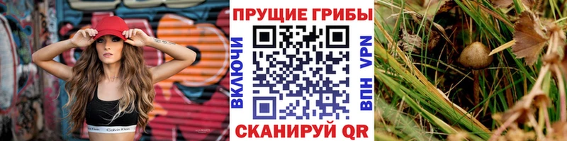 Галлюциногенные грибы мицелий Верхотурье