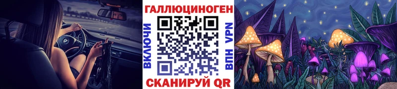 Галлюциногенные грибы Psilocybe  Верхотурье 